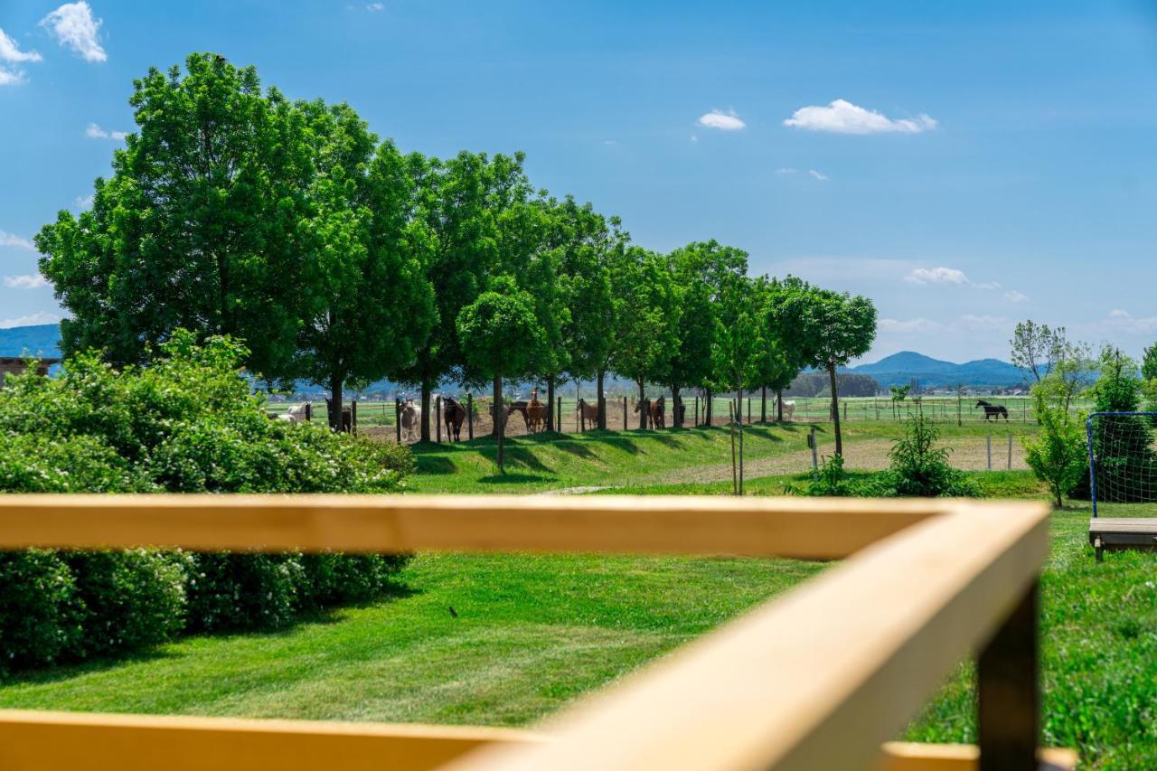 Horse Glamping Park Hotel Cirkovce Buitenkant foto